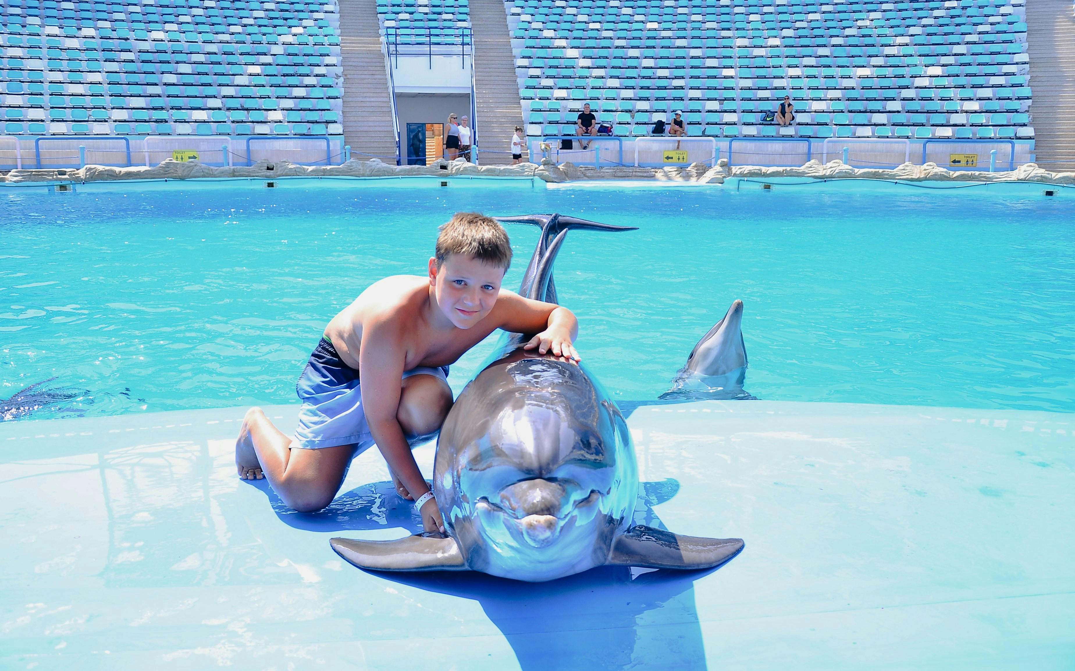 Boy interacting with a dolphin at Dolphin World during a private photo experience.