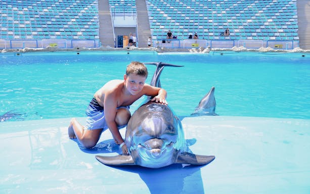 Boy interacting with a dolphin at Dolphin World during a private photo experience.