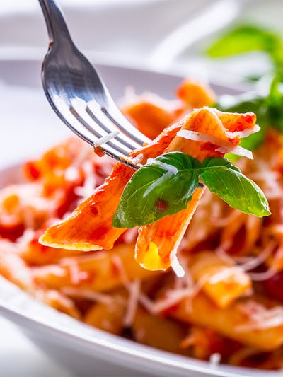 Crocodile Park Dubai