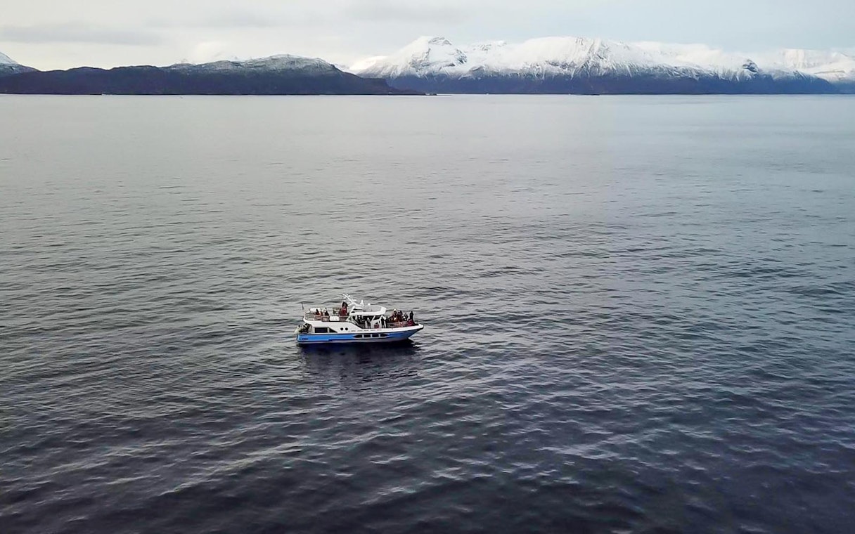 Cruise ship on Tromsø waters with snowy mountains in the background during whale watching tour.