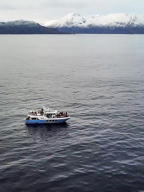 Cruise ship on Tromsø waters with snowy mountains in the background during whale watching tour.