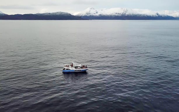Cruise ship on Tromsø waters with snowy mountains in the background during whale watching tour.