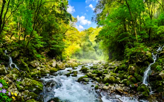 fukuoka'dan: takachiho kanyonu ve amaterasu demiryolu turu-2