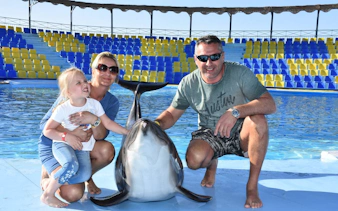 premium 10 minutes dolphin swimming experience - hurghada-2