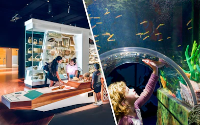 Visitors exploring the Many Nations exhibit at Melbourne Museum.