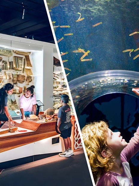 Visitors exploring the Many Nations exhibit at Melbourne Museum.