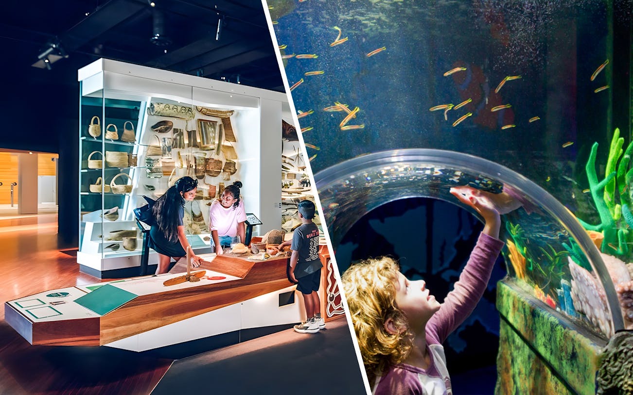 Visitors exploring the Many Nations exhibit at Melbourne Museum.