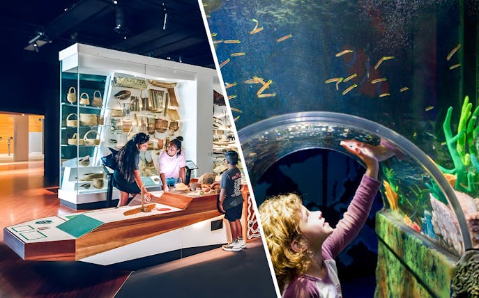 Visitors exploring the Many Nations exhibit at Melbourne Museum.