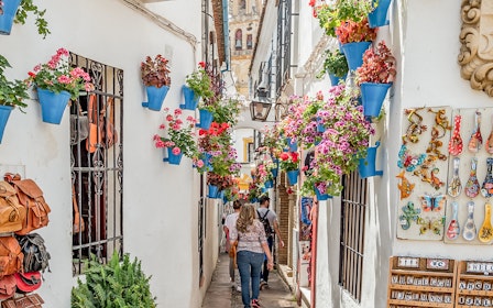 Cordoba Mosque-Cathedral & Jewish Quarter Guided Tour