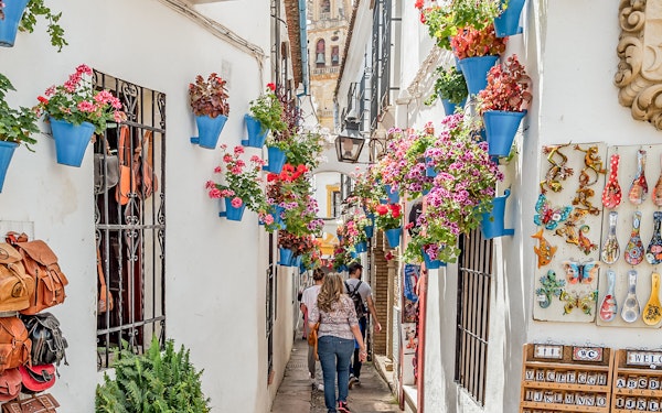 Cordoba Mosque-Cathedral & Jewish Quarter Guided Tour