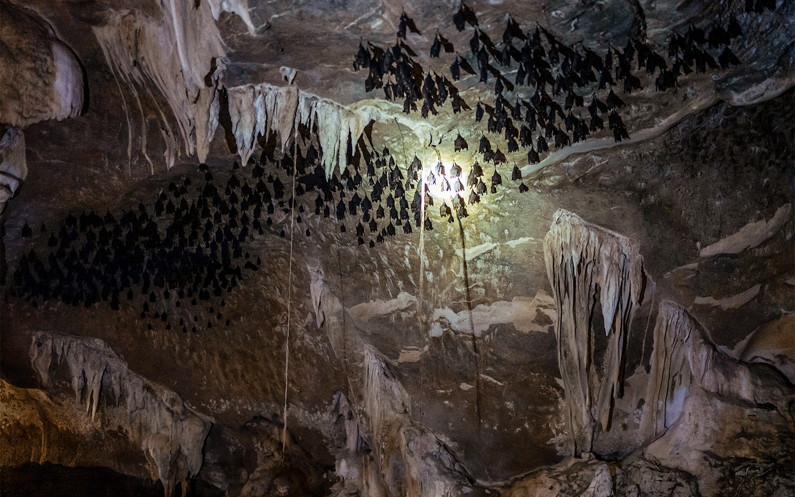 Kilim Geoforest Park
