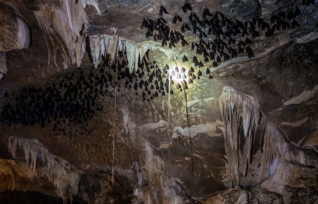 Kilim Geoforest Park