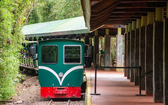 Train at Iguazu Falls station surrounded by lush greenery.