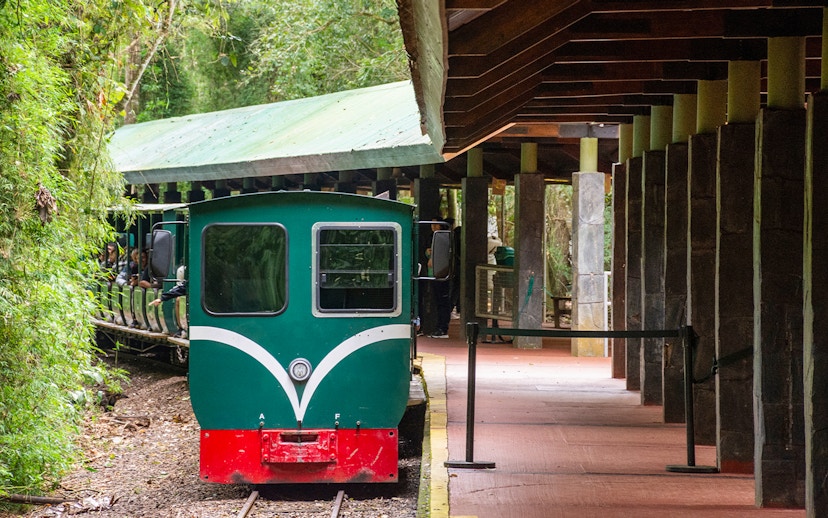 Train at Iguazu Falls station surrounded by lush greenery.