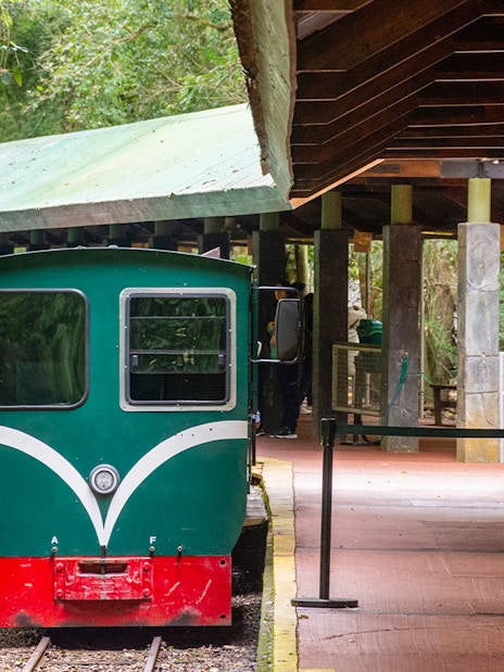 Train at Iguazu Falls station surrounded by lush greenery.