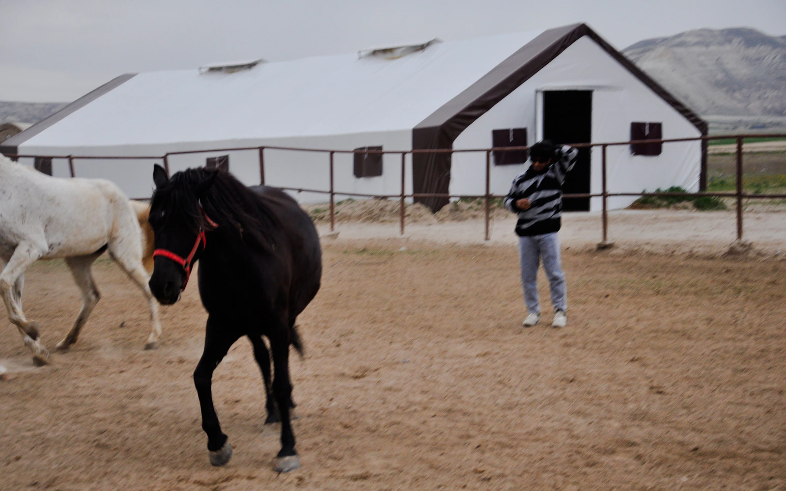 Cappadocia Horseback Riding and ATV Combo Tour Image 5