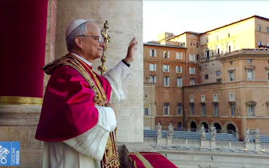 Papal Audience Tickets with Hotel Delivery in Rome