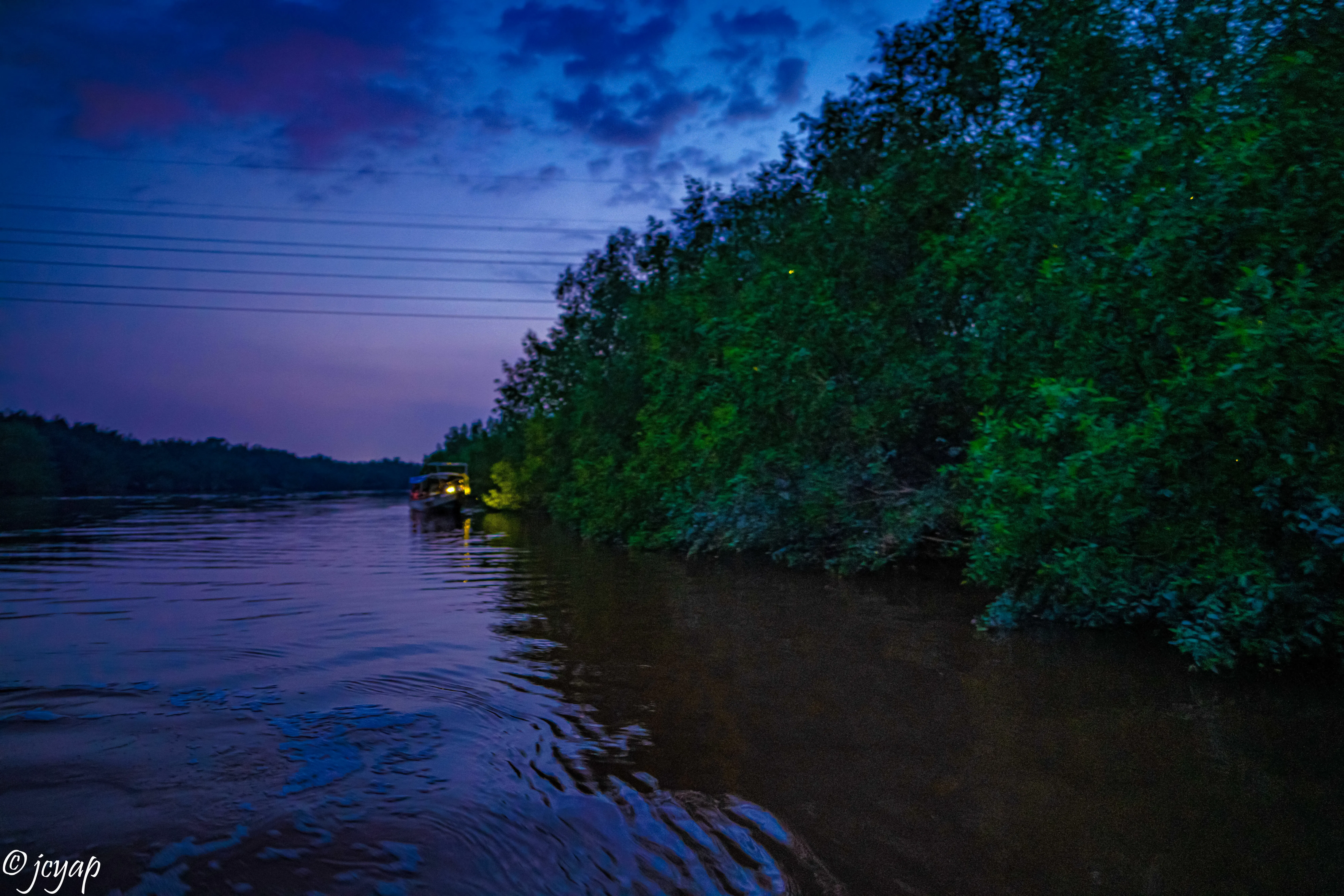 from kuala lumpur: kuala selangor eagle-watching, fireflies and blue tears tour-6