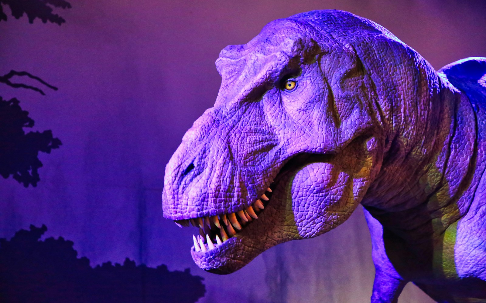 Dinosaur model exhibit at the Natural History Museum, London, United Kingdom.