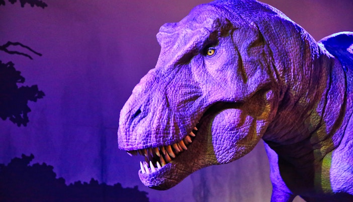 Dinosaur model exhibit at the Natural History Museum, New York, United States