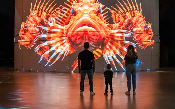 Guests viewing vibrant marine life projection at Port des Lumières - Ocean Wonders.
