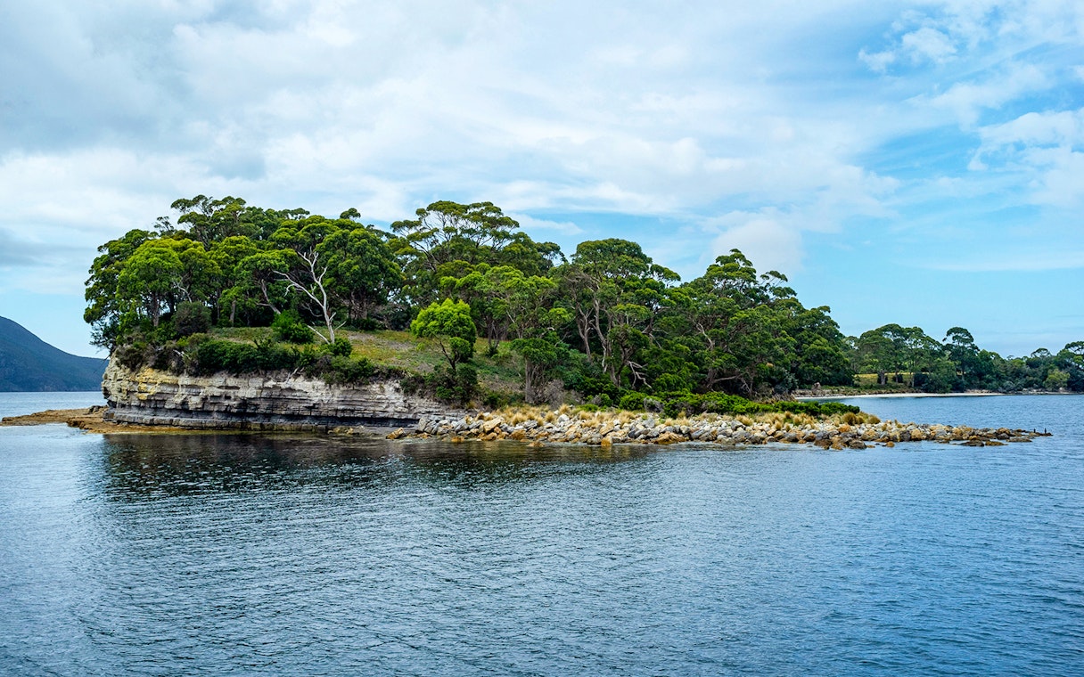 Port Arthur coastline with lush greenery and rocky shore during a harbour cruise.