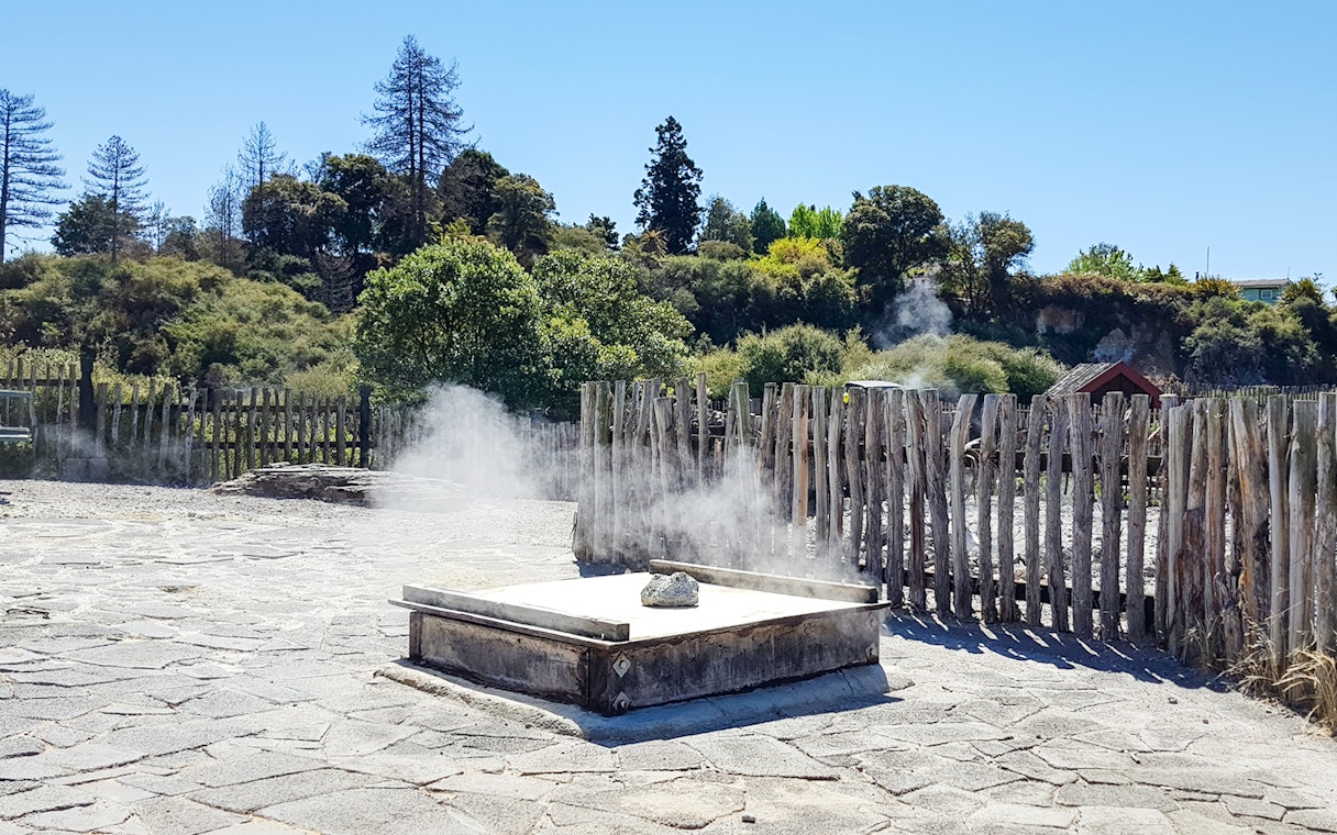 Geothermal steam vent at Whakarewarewa Living Maori Village, New Zealand.