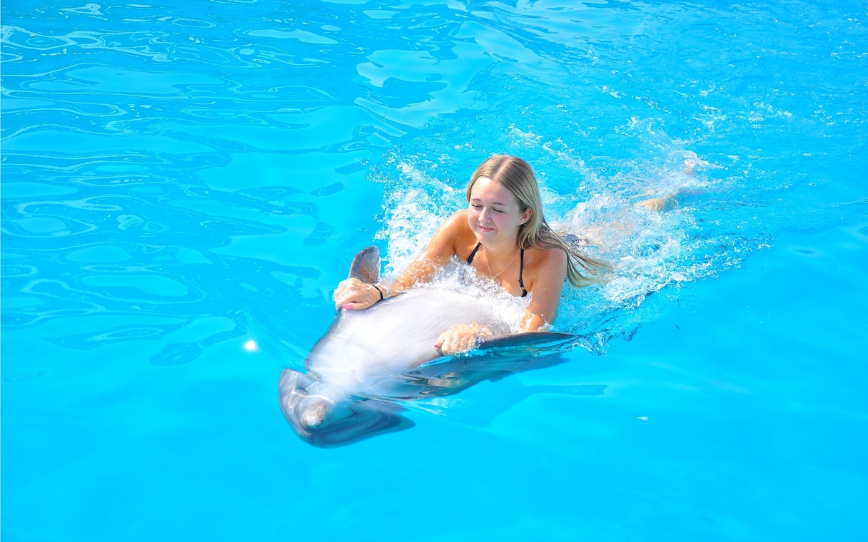 Woman swimming with dolphin at Egypt Dolphin World, Hurghada.