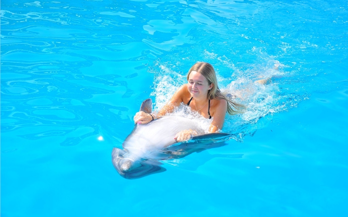 Woman swimming with dolphin at Egypt Dolphin World, Hurghada.