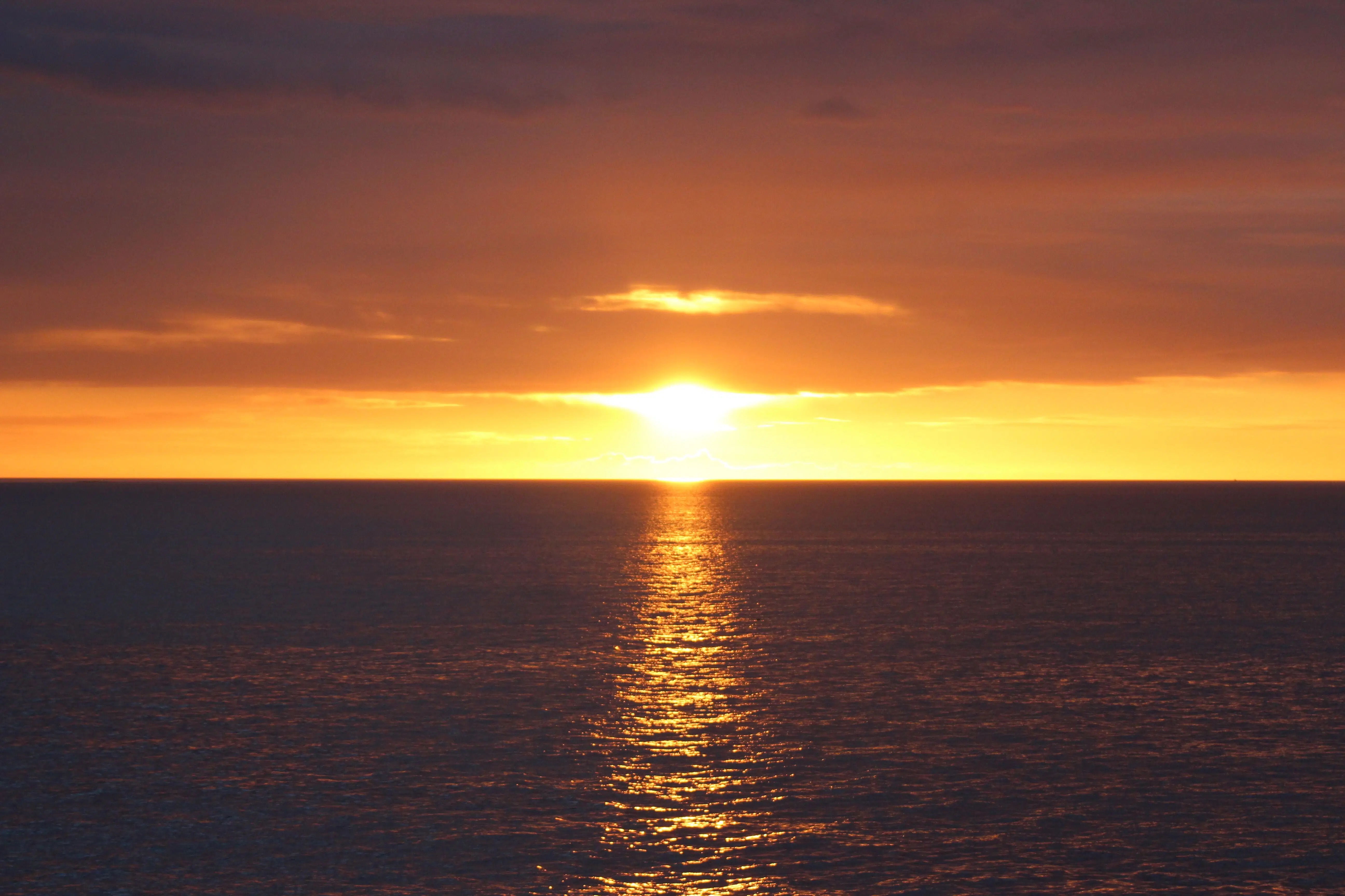 Whales breaching under the midnight sun in Reykjavik during a whale watching tour.