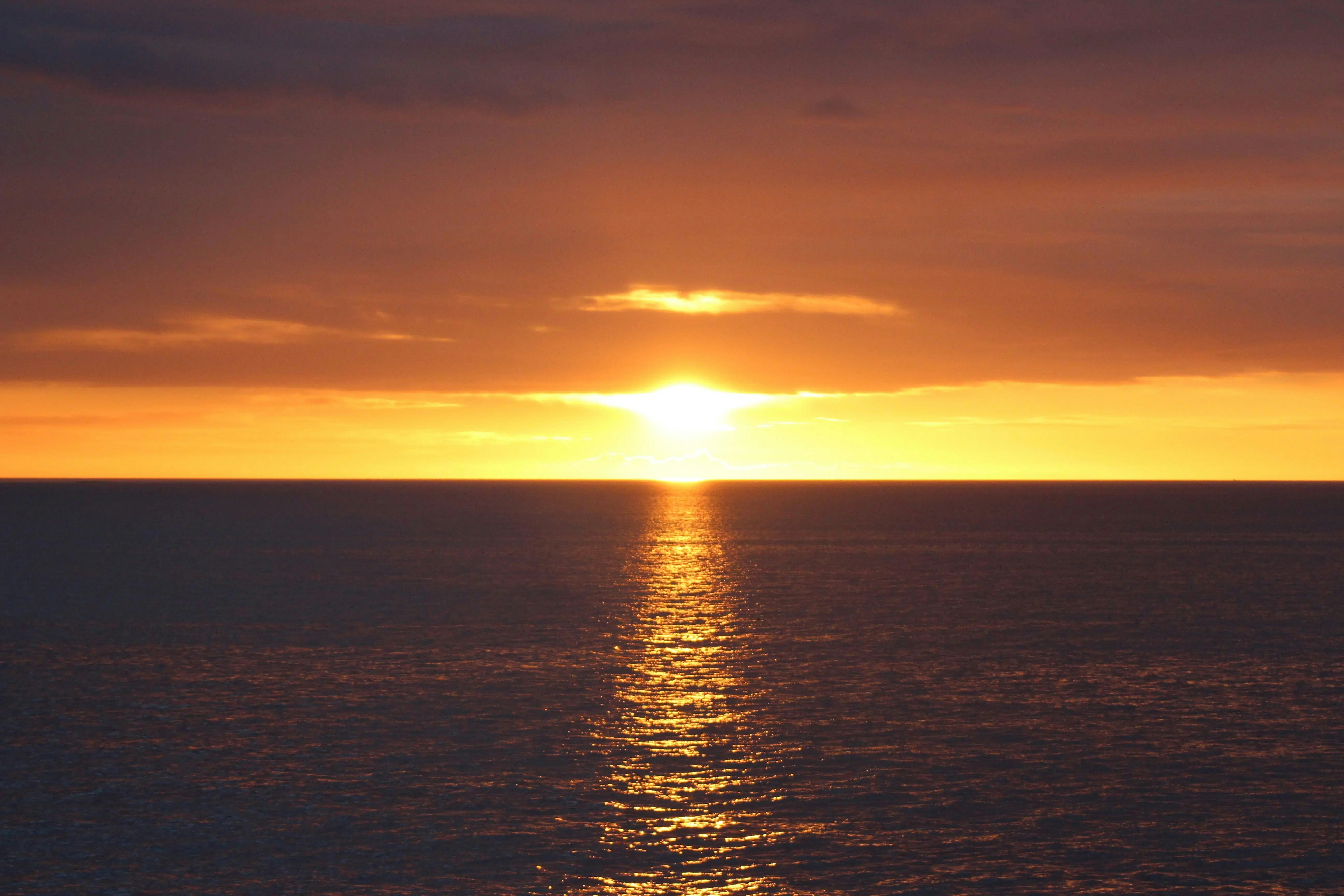 Whales breaching under the midnight sun in Reykjavik during a whale watching tour.