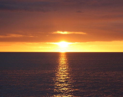 Whales breaching under the midnight sun in Reykjavik during a whale watching tour.