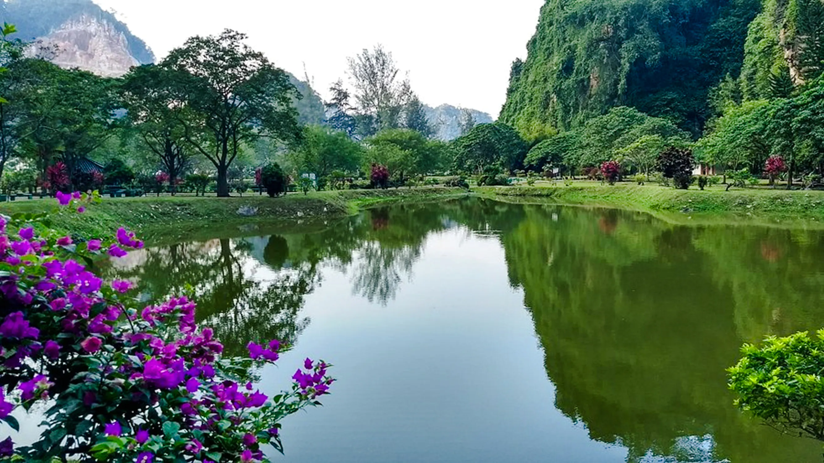 From Kuala Lumpur: Private Ipoh Heritage & Kek Lok Tong Cave Temple Day Trip Image 12