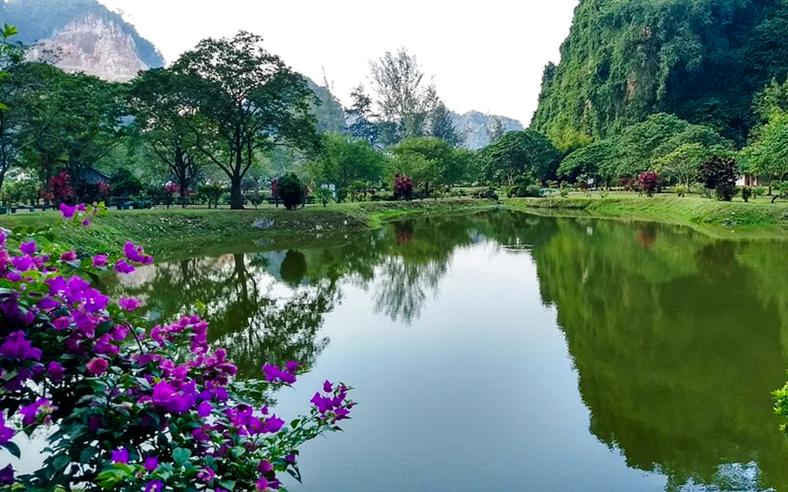 From Kuala Lumpur: Private Ipoh Heritage & Kek Lok Tong Cave Temple Day Trip Image 12