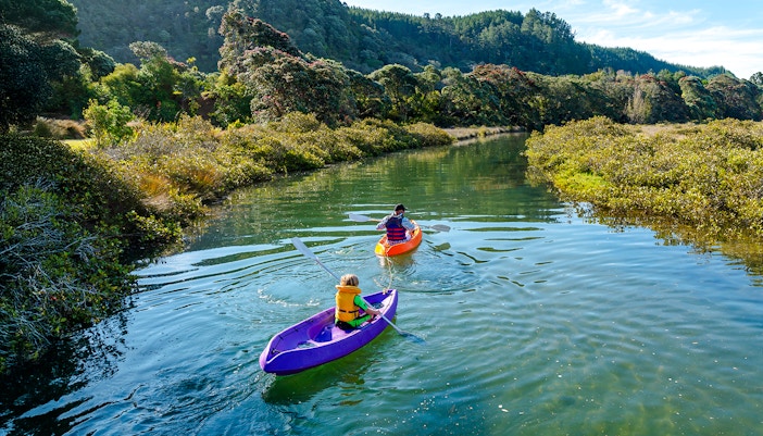 Kayakers paddling through a lush green stream surrounded by forest.