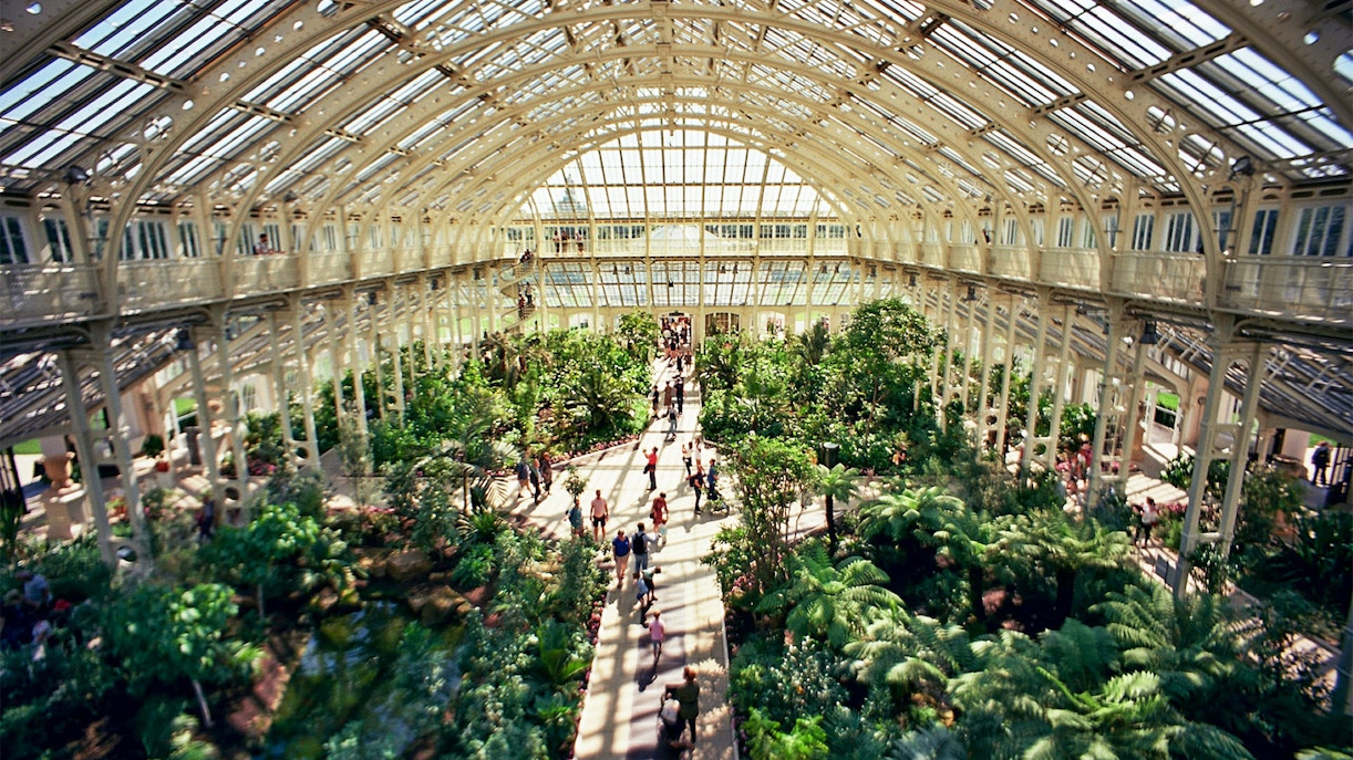 Visitors walking through the Palm House at Kew Gardens, surrounded by lush tropical plants.
