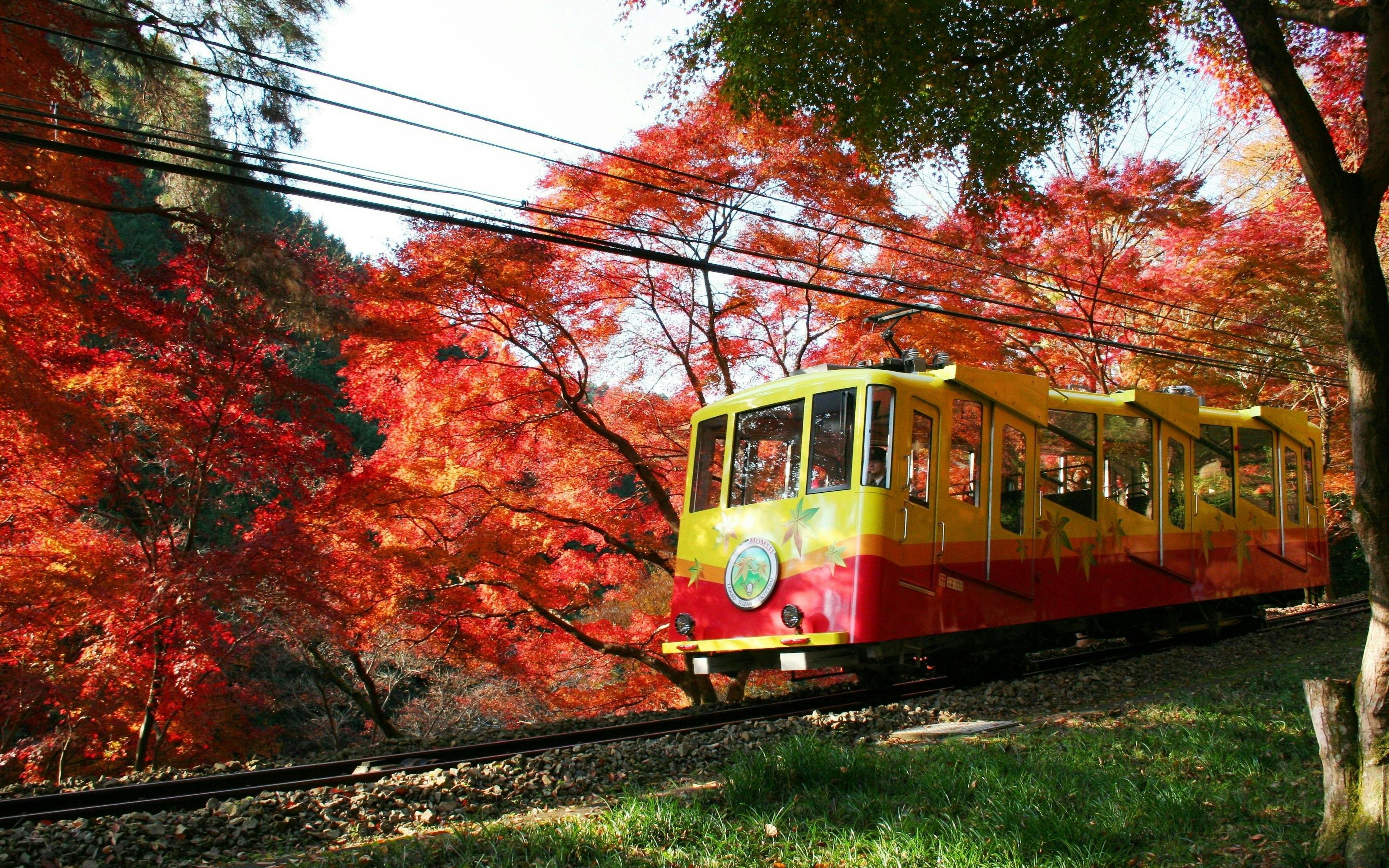 Mt. Takao cable car amidst vibrant autumn leaves in Tokyo, Japan.