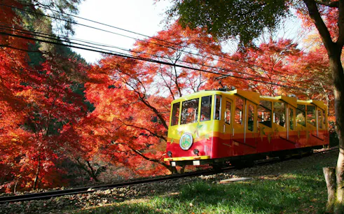 Mt. Takao cable car amidst vibrant autumn leaves in Tokyo, Japan.