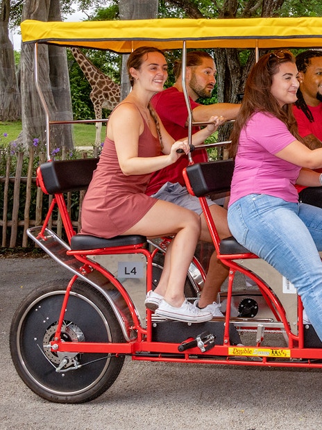 Guests riding Safari Cycle at Zoo Miami with giraffes in the background.