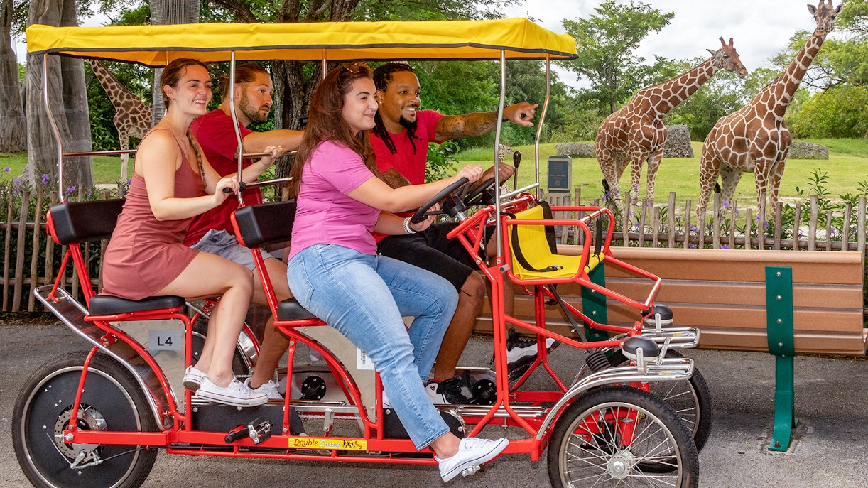 Guests enjoying Safari Cycle at Zoo Miami