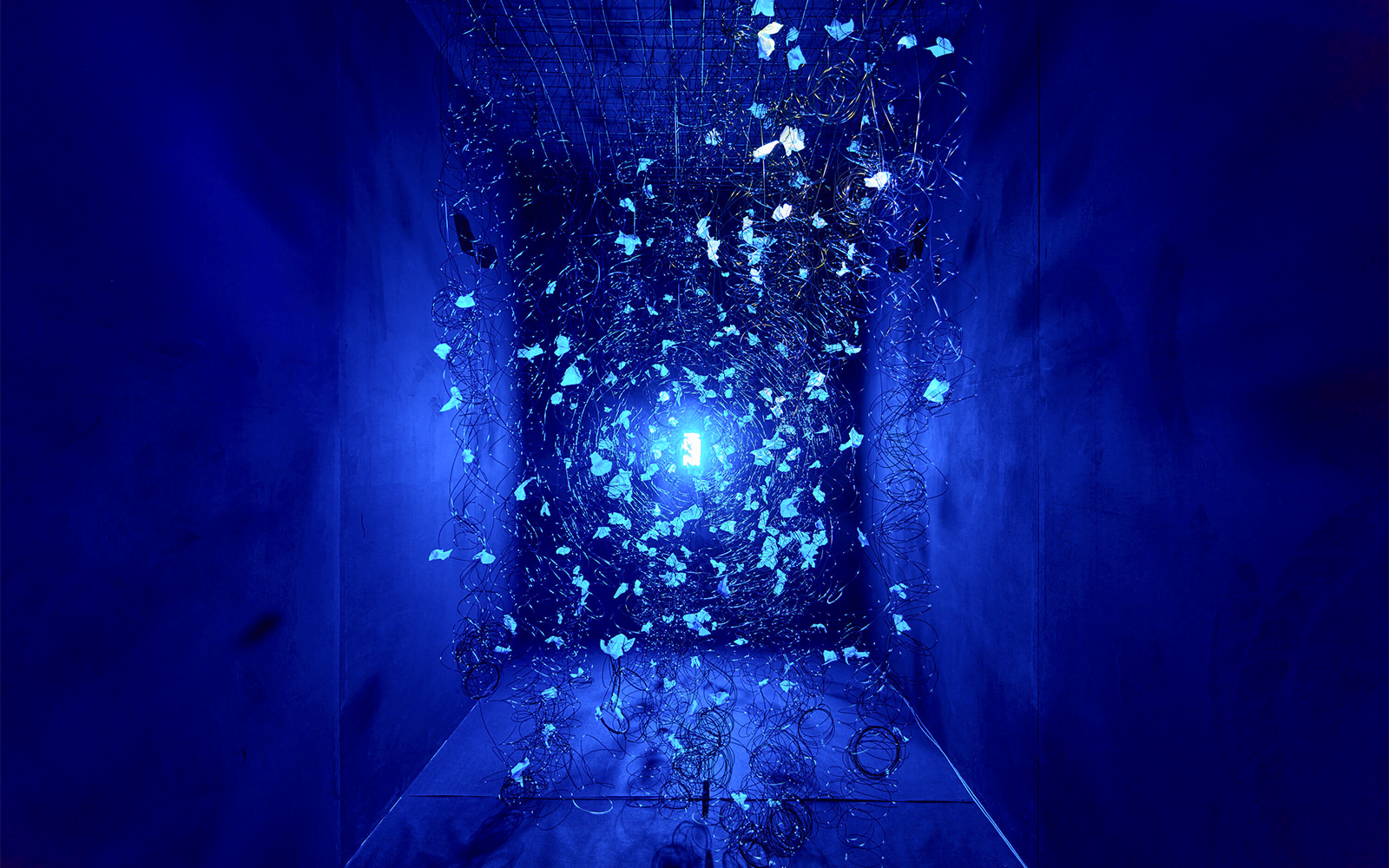 Light Art Museum Budapest- Living Sculptures After Dark