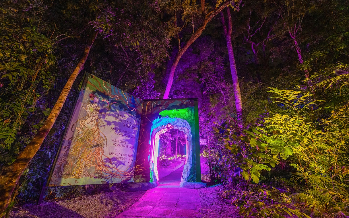 Illuminated pathway and trees at Dream Forest Langkawi with vibrant purple and green lights.