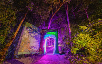 Illuminated pathway and trees at Dream Forest Langkawi with vibrant purple and green lights.