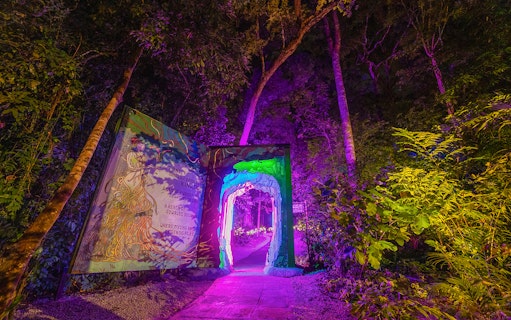 Illuminated pathway and trees at Dream Forest Langkawi with vibrant purple and green lights.