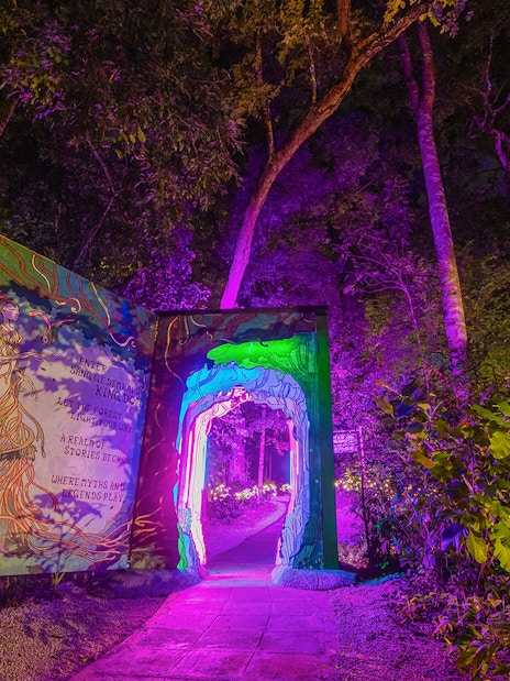 Illuminated pathway and trees at Dream Forest Langkawi with vibrant purple and green lights.