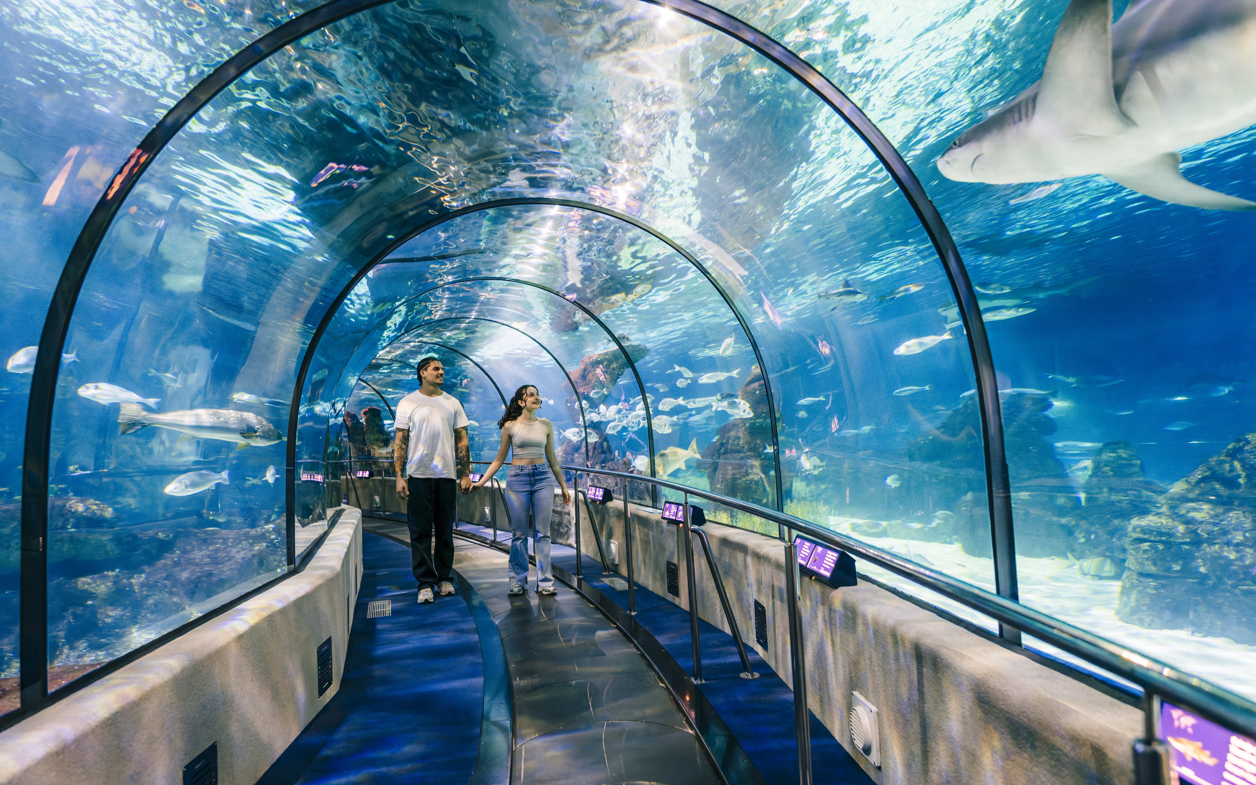 Tourists walking through the aquarium tunnel at Barcelona Aquarium, surrounded by marine life.