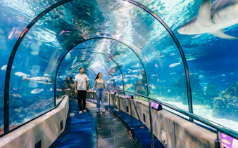 Tourists walking through the aquarium tunnel at Barcelona Aquarium, surrounded by marine life.