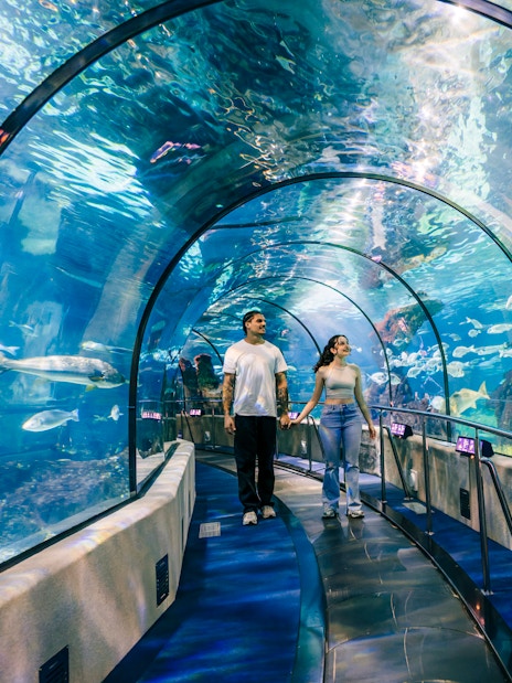 Tourists walking through the aquarium tunnel at Barcelona Aquarium, surrounded by marine life.