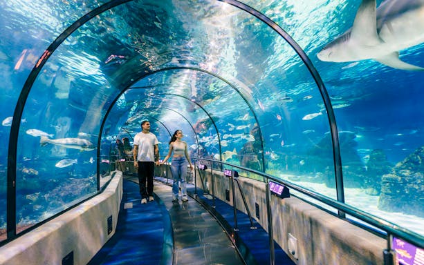 Tourists walking through the aquarium tunnel at Barcelona Aquarium, surrounded by marine life.