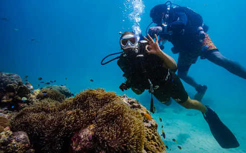 Scuba divers exploring coral reef at Kata Beach, Phuket.